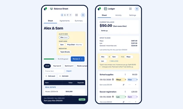 Balance Sheet and Ledger on a phone